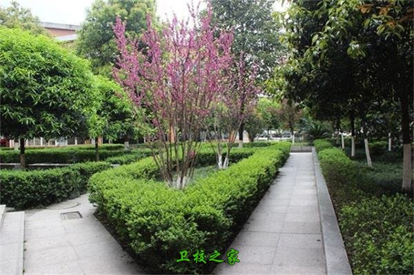 學校環境