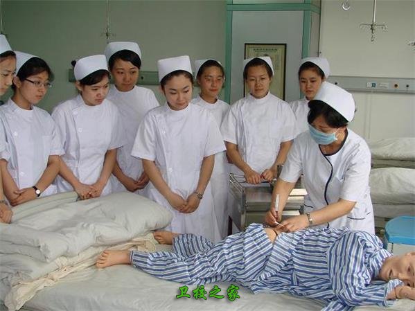 學生見習