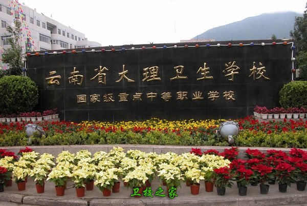 大理衛校