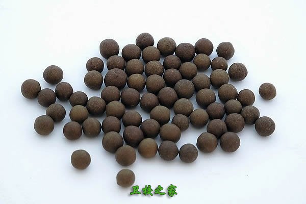 蒙藥學專業(yè)就業(yè)前景