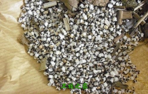 中藥學專業(yè)知識
