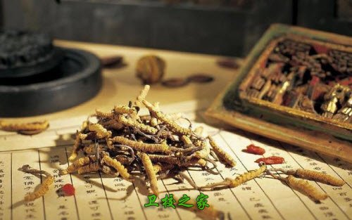 中醫學專業好不好