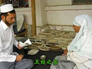 維醫學專業好不好