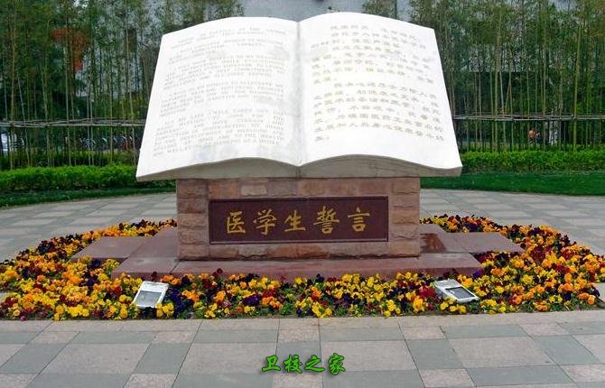 醫學生誓言