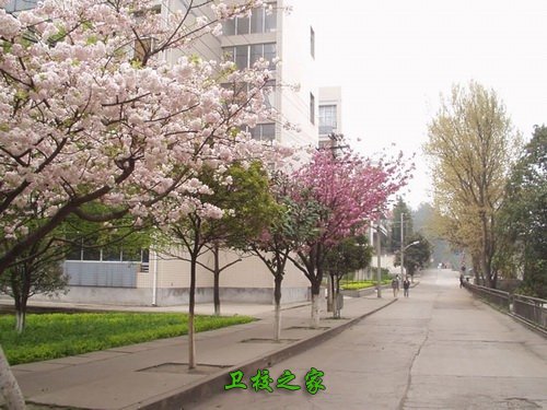 貴陽中醫(yī)學(xué)院時珍學(xué)院有哪些專業(yè)