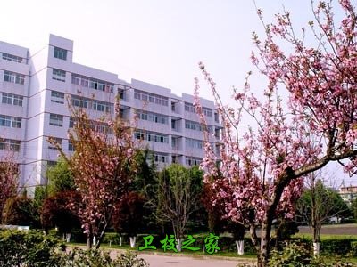 校園風采