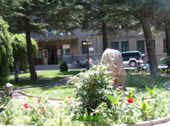 甘肅中醫藥大學