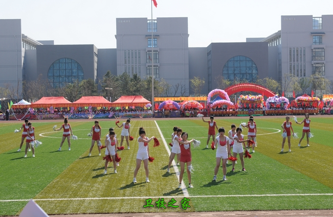 小環活動