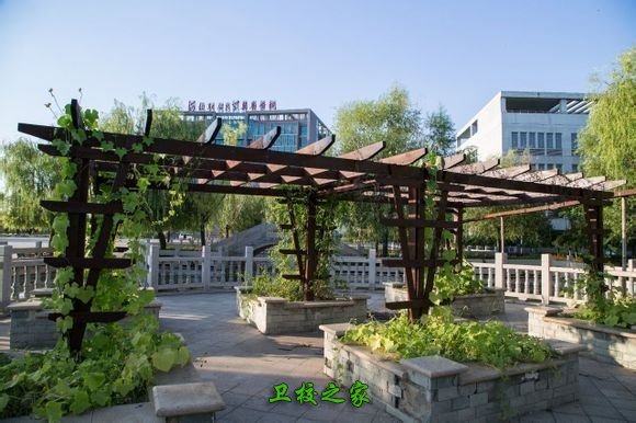 學校好不好