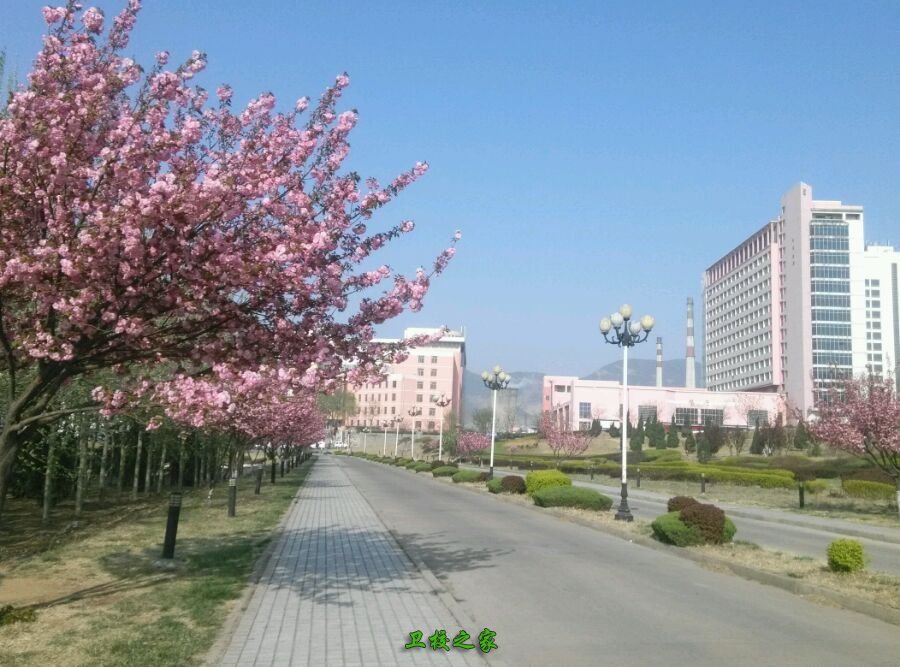 校園環(huán)境