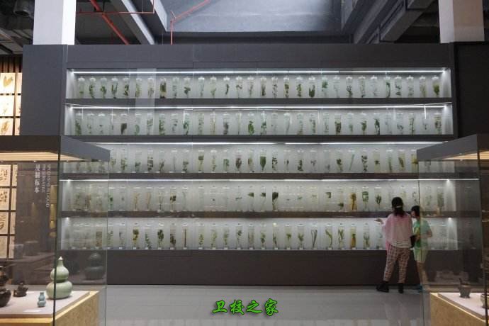 博物館內景