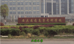 安慶醫(yī)藥高等專科學校