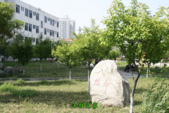 湖北醫藥學院
