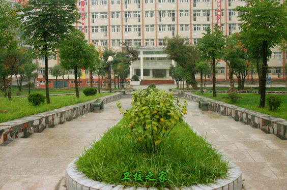 校園環(huán)境
