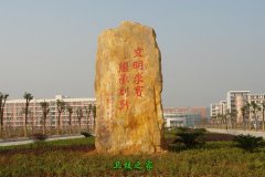 湖南中醫藥大學湘杏學院