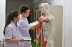 廣西中醫藥大學賽恩斯新醫藥學院