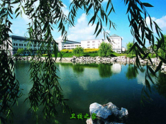 浙江中醫(yī)藥大學濱江學院