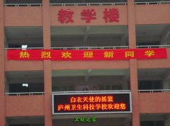 廬州衛生科技學校