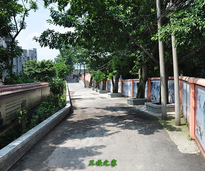 校園小道