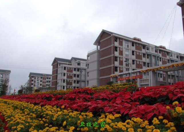 重慶醫科學校