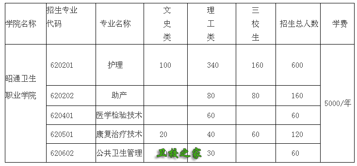 專業