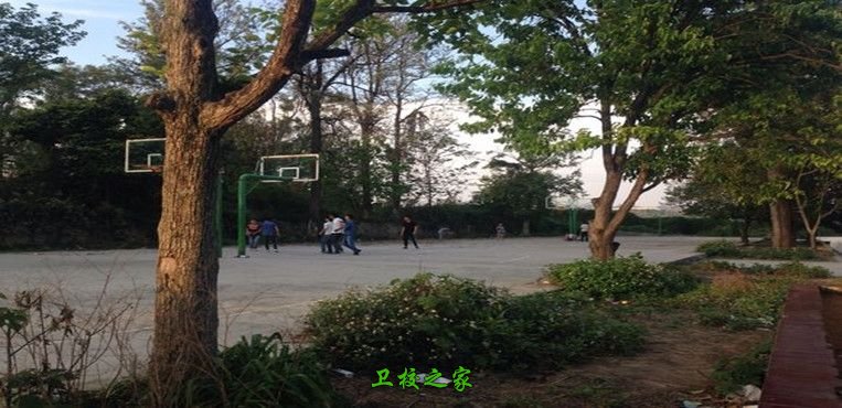 籃球場