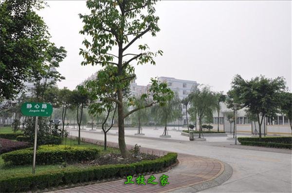 校園小道