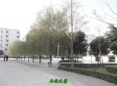 廣東梅州衛生職業技術學校