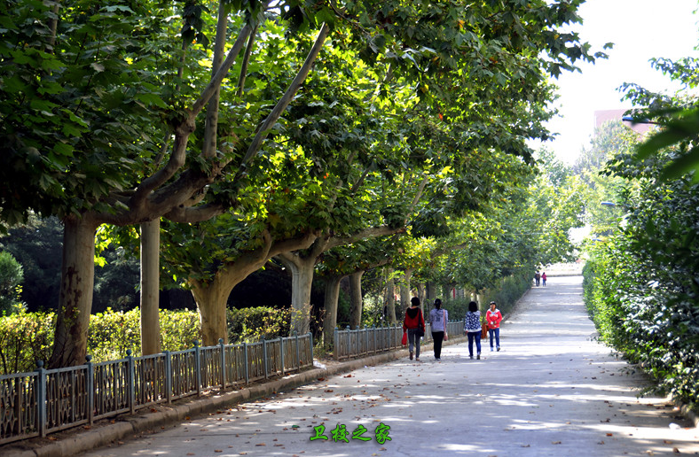 校園小路