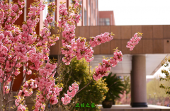 河西學院
