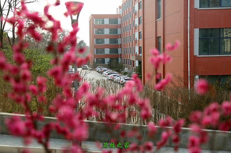 校園環(huán)境