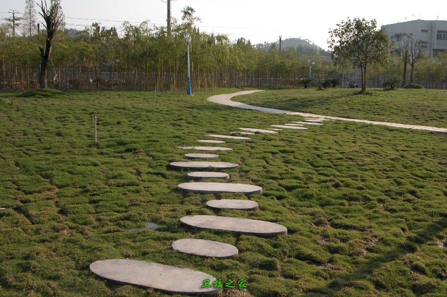 學校公園