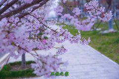 泰州市靖江衛(wèi)生學(xué)校