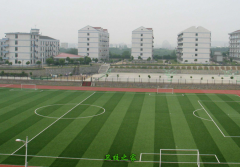 <b>江蘇大學(xué)醫(yī)學(xué)院</b>