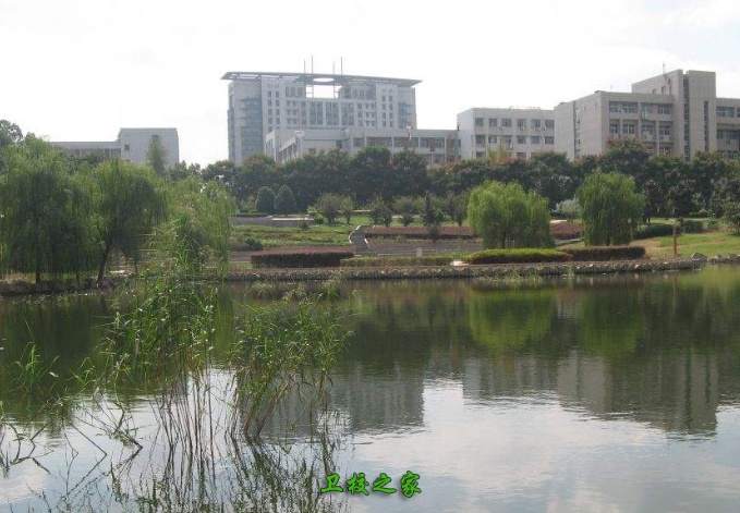 校園風(fēng)采