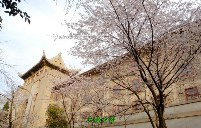 校園景色