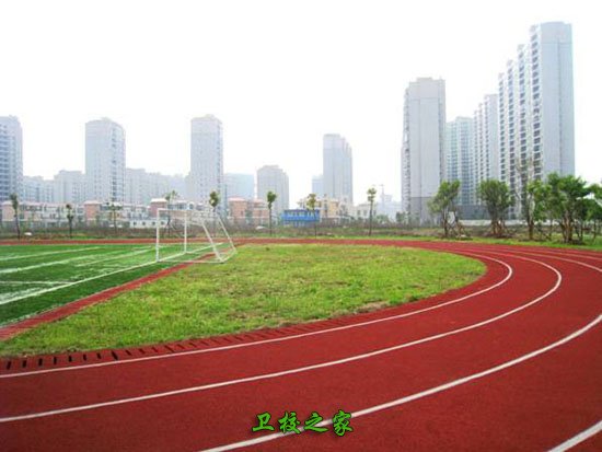 球場