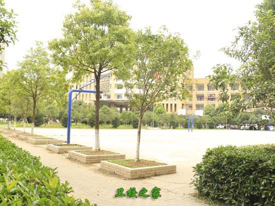 學校景色