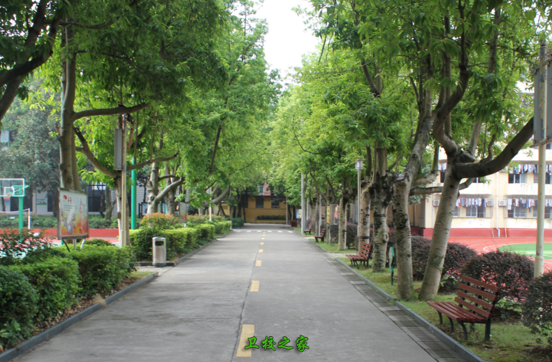 綠蔭長廊