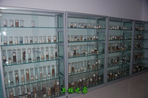 藥理標本