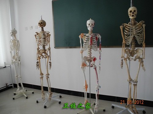模型實驗室