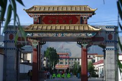 西藏大學醫(yī)學院