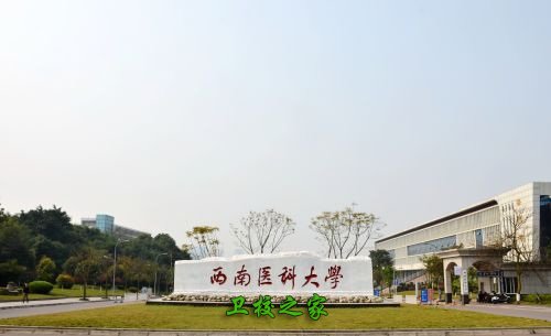 西南醫科大學